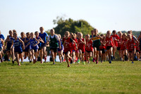 St Mark Lions