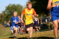 Emanuel Tigers
