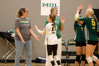 Mount Olive Green