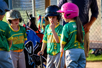 Fox Valley Spring vs McGuire Homes