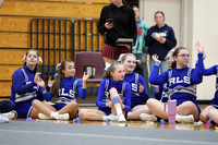 Riverview Roadrunners