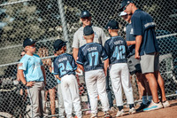 8U White vs De Pere