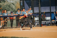 Harmann vs Turek's