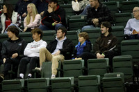 Fans