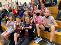 Teams At FVL Games