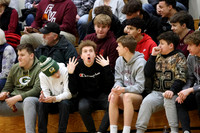 Fans