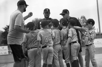 Tournament Teams