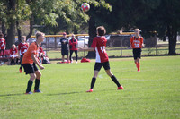 St Mark, Green Bay vs Trinity, St Luke