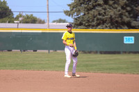 Appleton Doubledays
