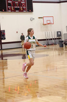 Mt Olive MUSTANGS vs Riverview ROADRUNNERS